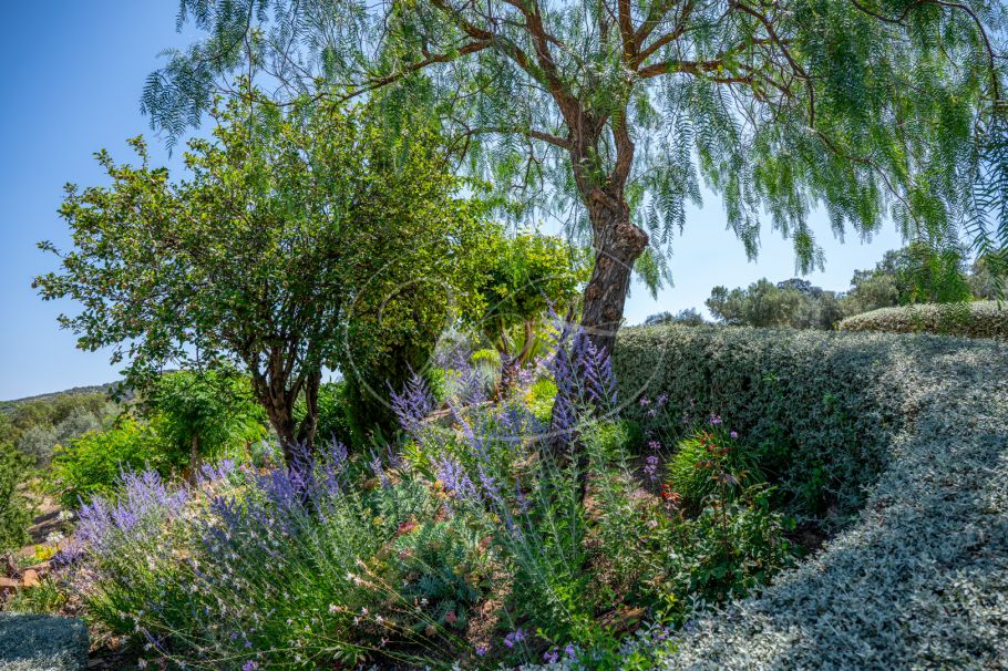 Finca near Malaga for sale, Villanueva de la Concepción