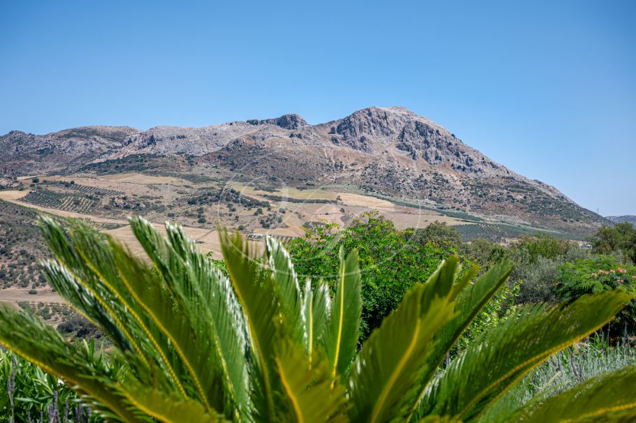 Finca near Malaga for sale, Villanueva de la Concepción