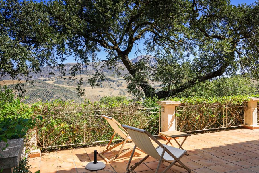 Finca near Malaga for sale, Villanueva de la Concepción