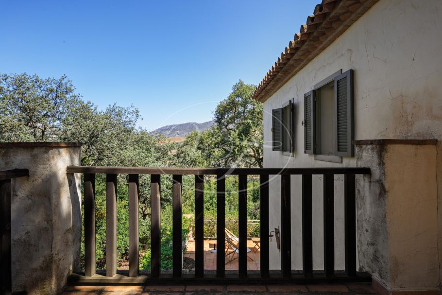 Finca near Malaga for sale, Villanueva de la Concepción