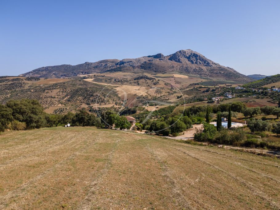 Finca near Malaga for sale, Villanueva de la Concepción