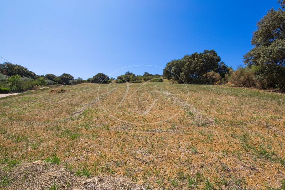Finca near Malaga for sale, Villanueva de la Concepción