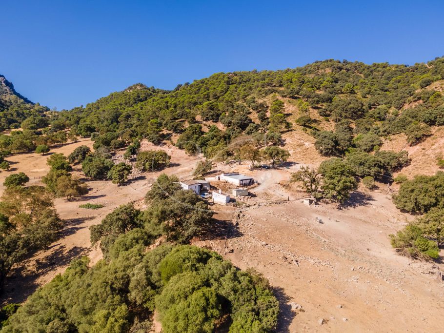 Grote finca in de bergen, 130 hectare (momenteel een geitenboerderij), Gaucin