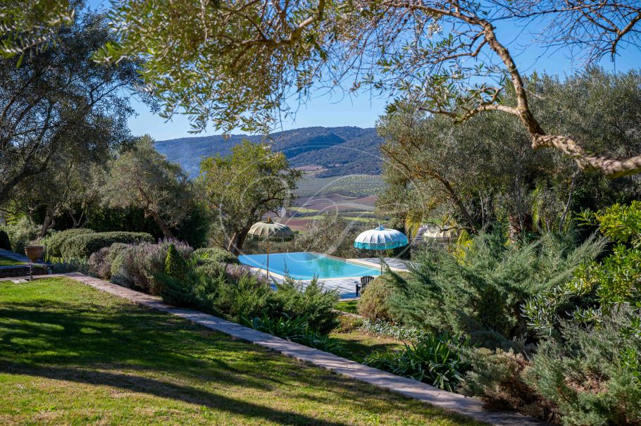 Modern cortijo in Spain with olive grove, Ronda
