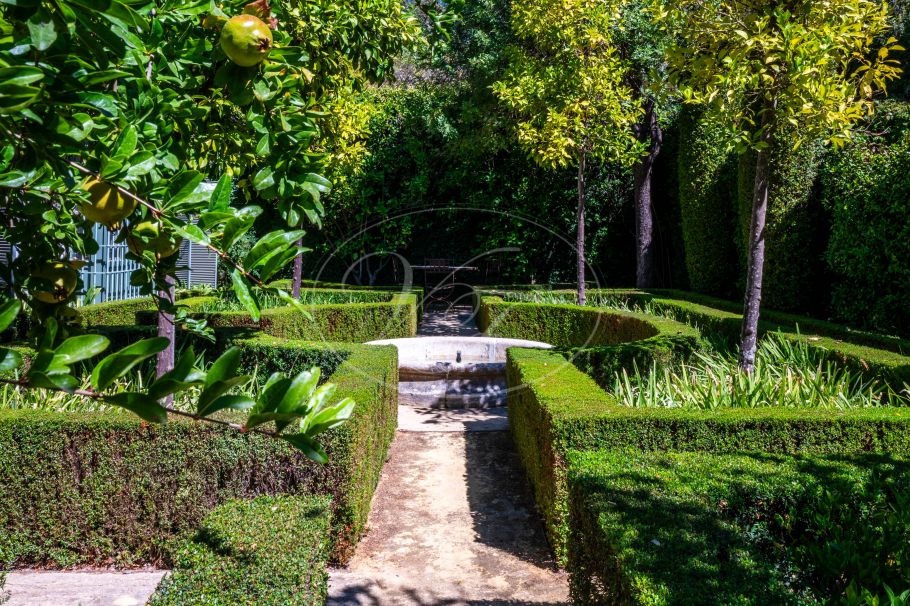 Stunning cortijo on privileged position, Gaucin