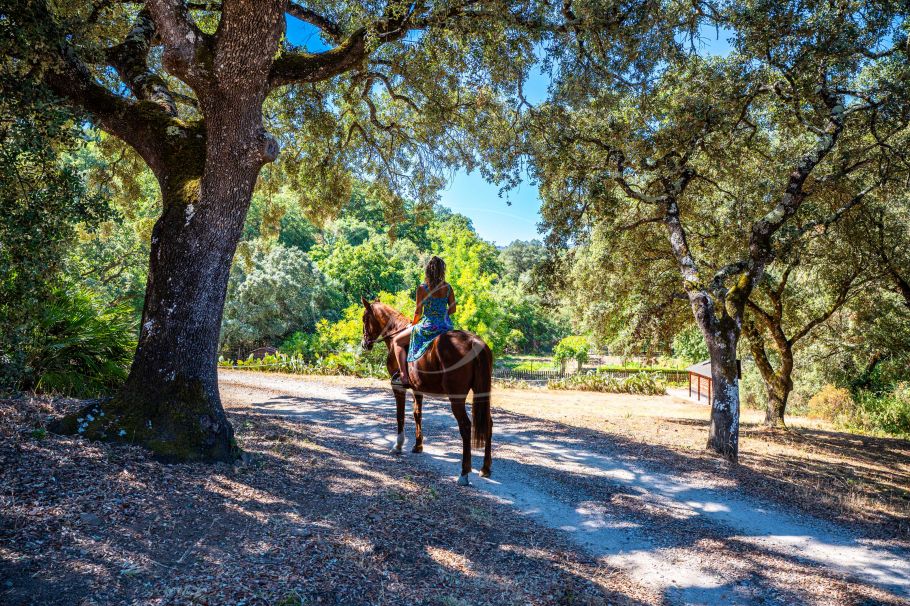 Stunning cortijo on privileged position, Gaucin