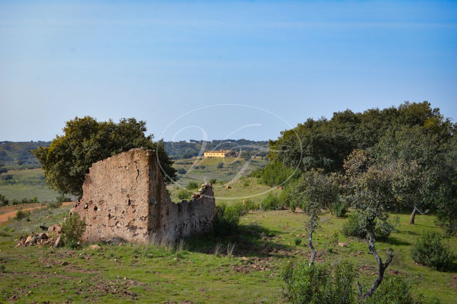 Jachtgoed met cortijo, 1700 ha., Sevilla