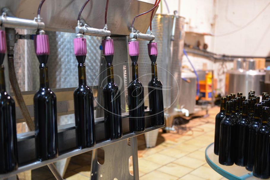 Wijngaard met bodega in Andalusië, Ronda