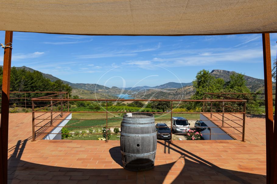 Wijngaard met bodega in Andalusië, Ronda
