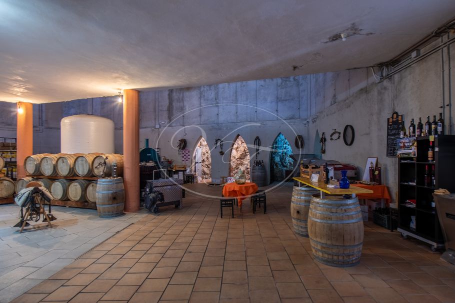 Wijngaard met bodega in Andalusië, Ronda