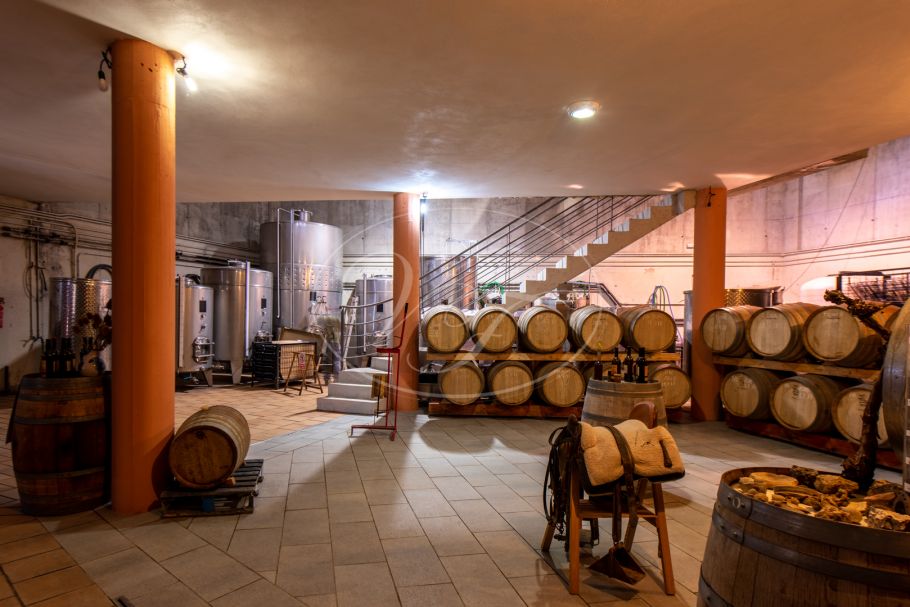 Wijngaard met bodega in Andalusië, Ronda