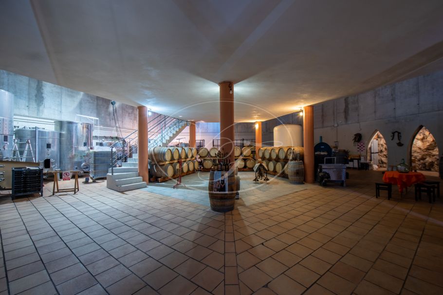 Wijngaard met bodega in Andalusië, Ronda