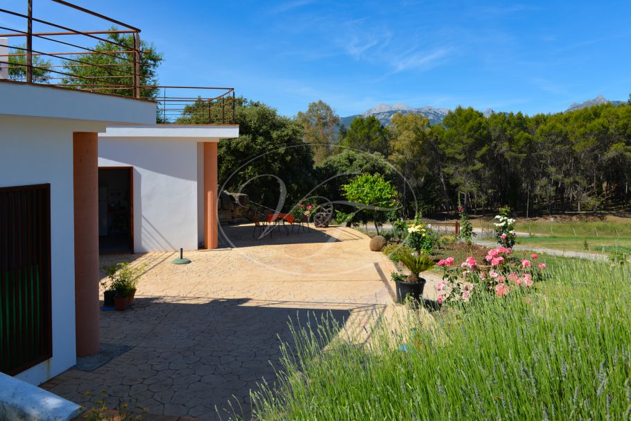 Wijngaard met bodega in Andalusië, Ronda