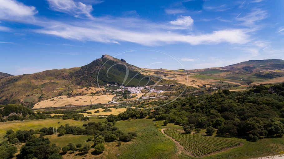 Wijngaard met bodega in Andalusië, Ronda