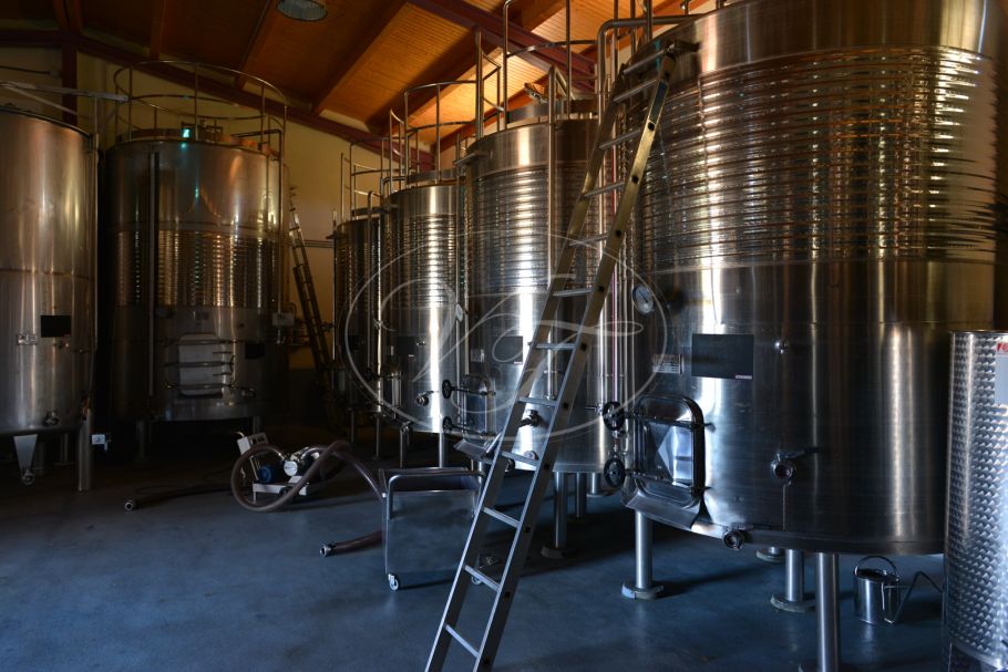Business opportunity: Vineyard and bodega, Ronda