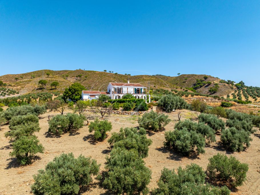 Magnifica chalet en el campo con olivar y huerto, Casarabonela