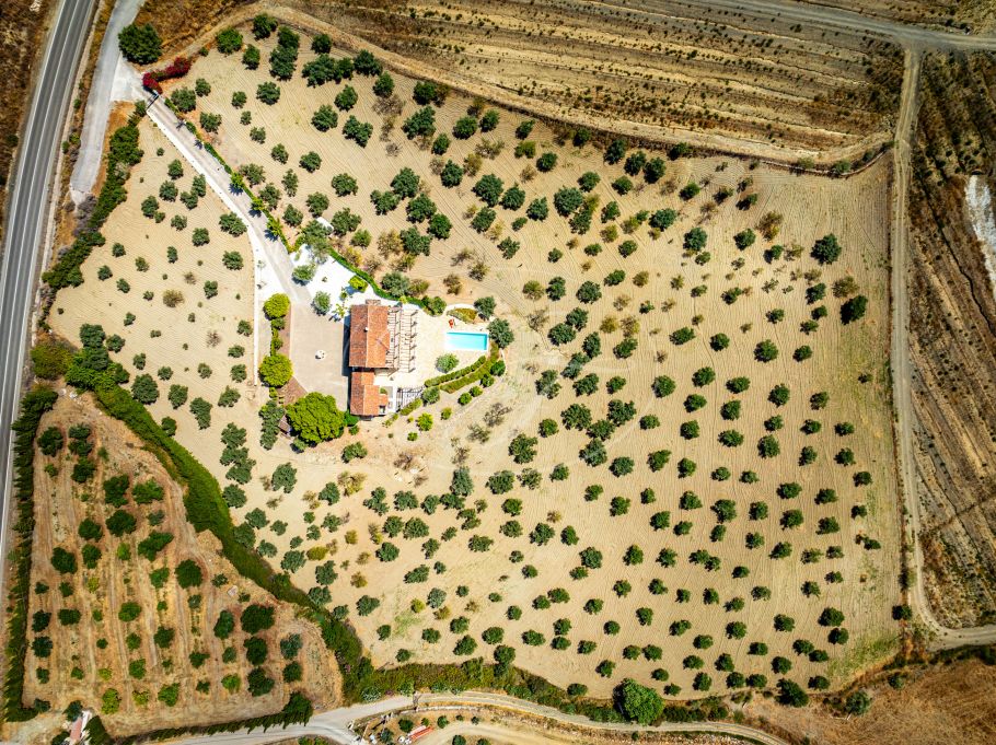 Magnifica chalet en el campo con olivar y huerto, Casarabonela