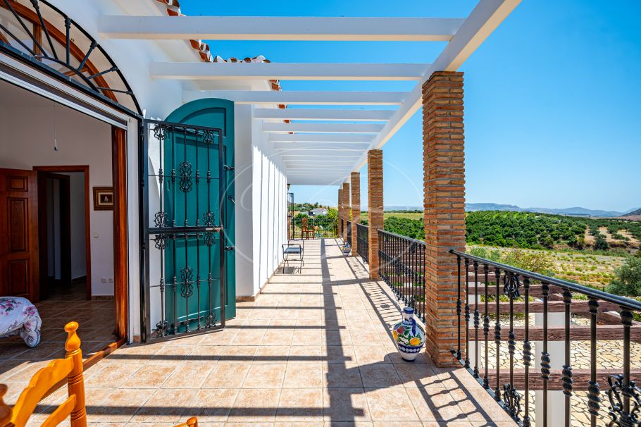 Magnifica chalet en el campo con olivar y huerto, Casarabonela
