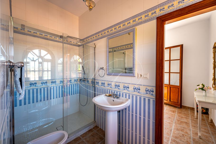 Magnifica chalet en el campo con olivar y huerto, Casarabonela