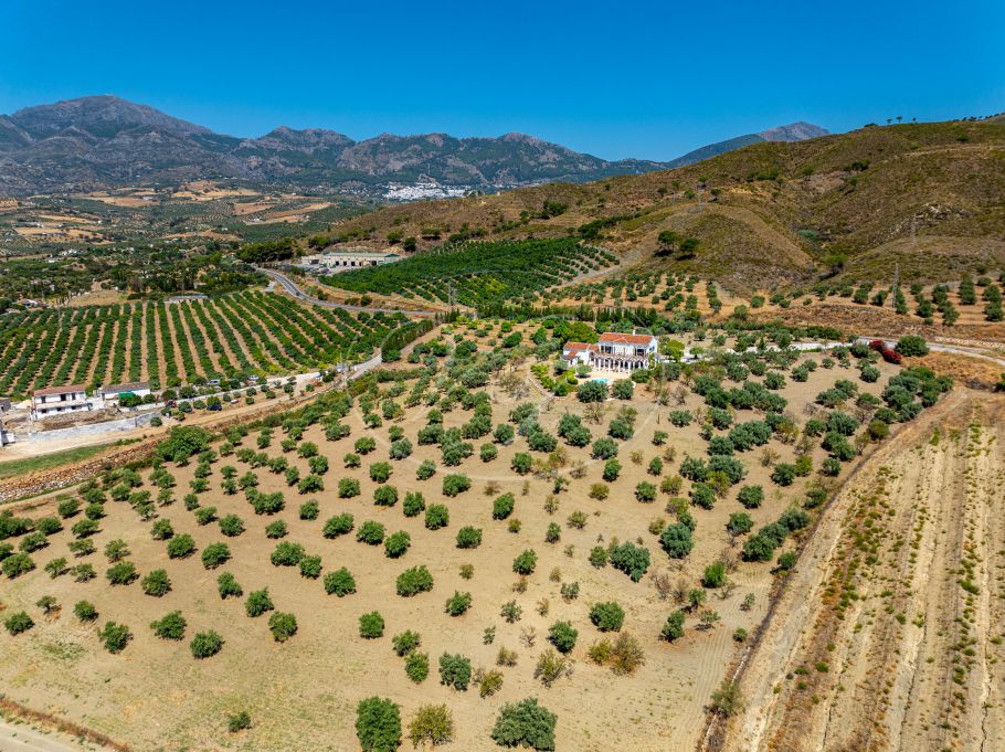Magnifica chalet en el campo con olivar y huerto, Casarabonela