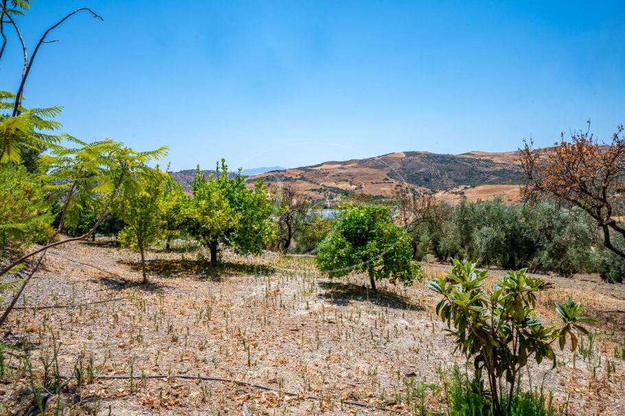 Magnifica chalet en el campo con olivar y huerto, Casarabonela