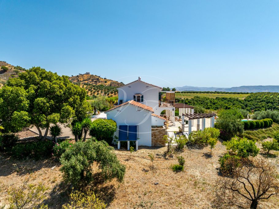 Magnifica chalet en el campo con olivar y huerto, Casarabonela