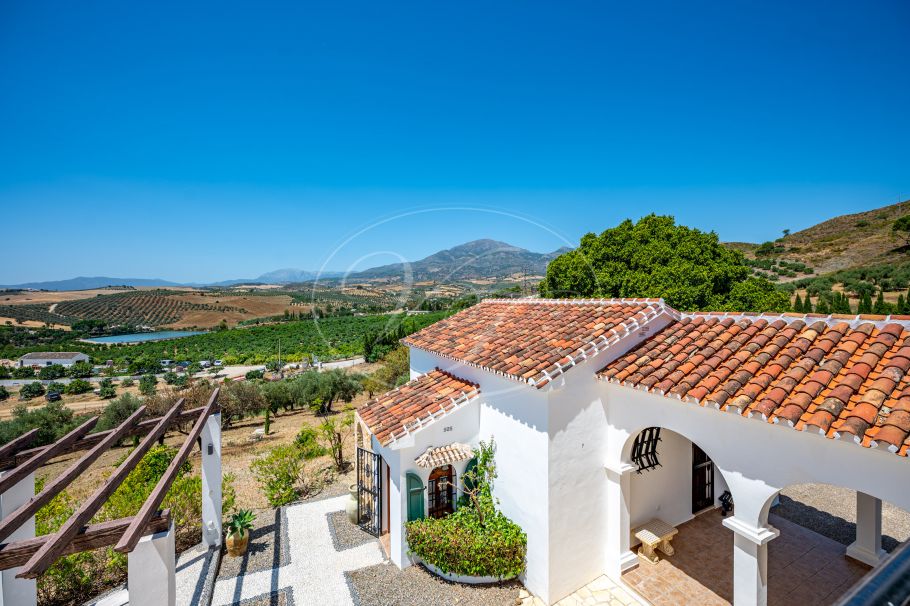 Magnifica chalet en el campo con olivar y huerto, Casarabonela