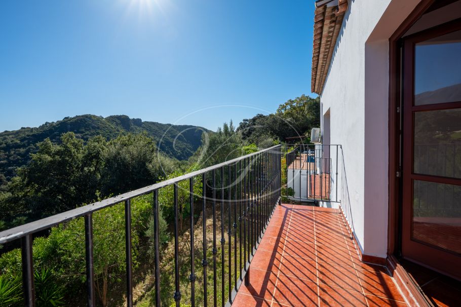 Amplia Finca con fácil acceso, Casares