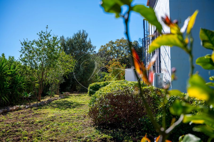 Amplia Finca con fácil acceso, Casares