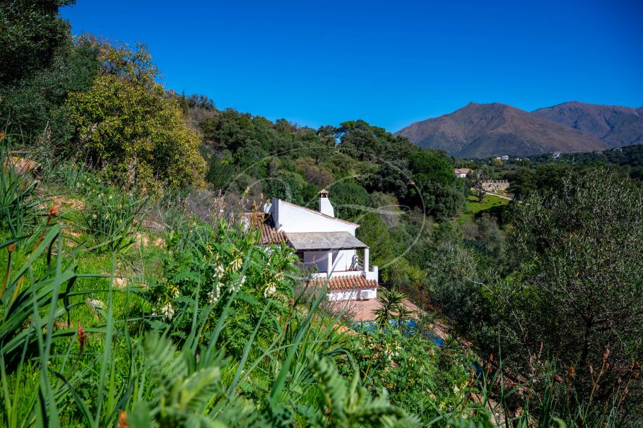 Amplia Finca con fácil acceso, Casares