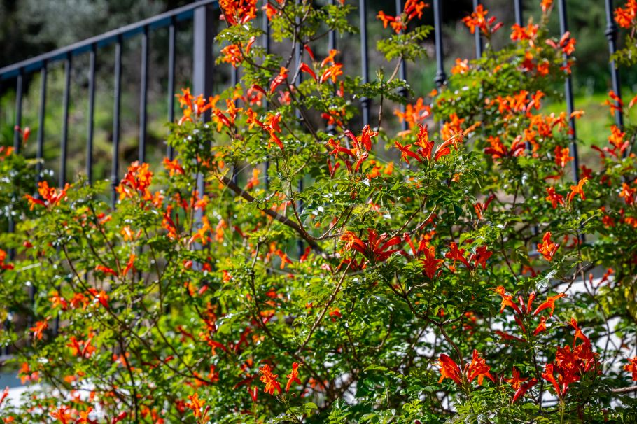 Amplia Finca con fácil acceso, Casares