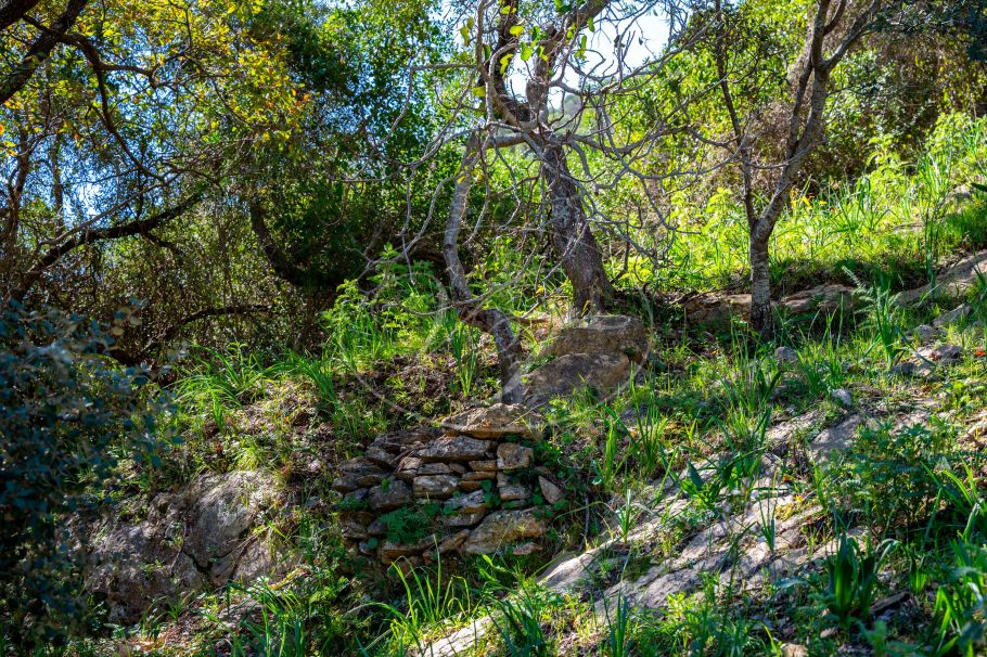 Amplia Finca con fácil acceso, Casares