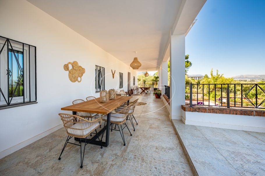 Beautiful country home with Vineyard, 1 studio & 1 guest apartment, Ronda