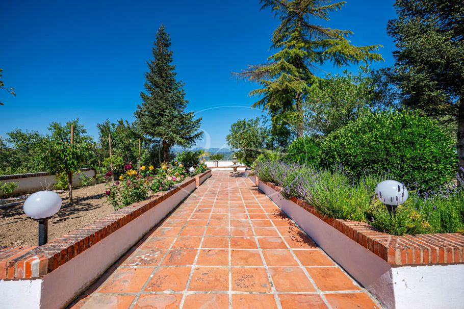 Beautiful country home with Vineyard, 1 studio & 1 guest apartment, Ronda