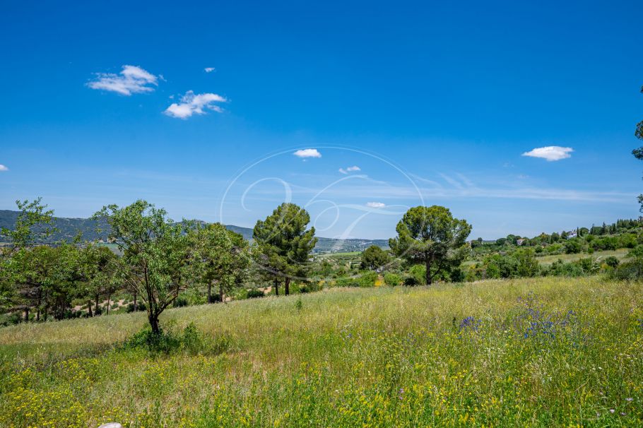 Beautiful country home with Vineyard, 1 studio & 1 guest apartment, Ronda