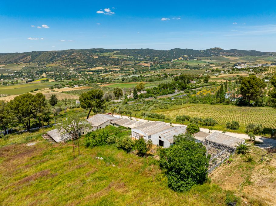 Beautiful country home with Vineyard, 1 studio & 1 guest apartment, Ronda