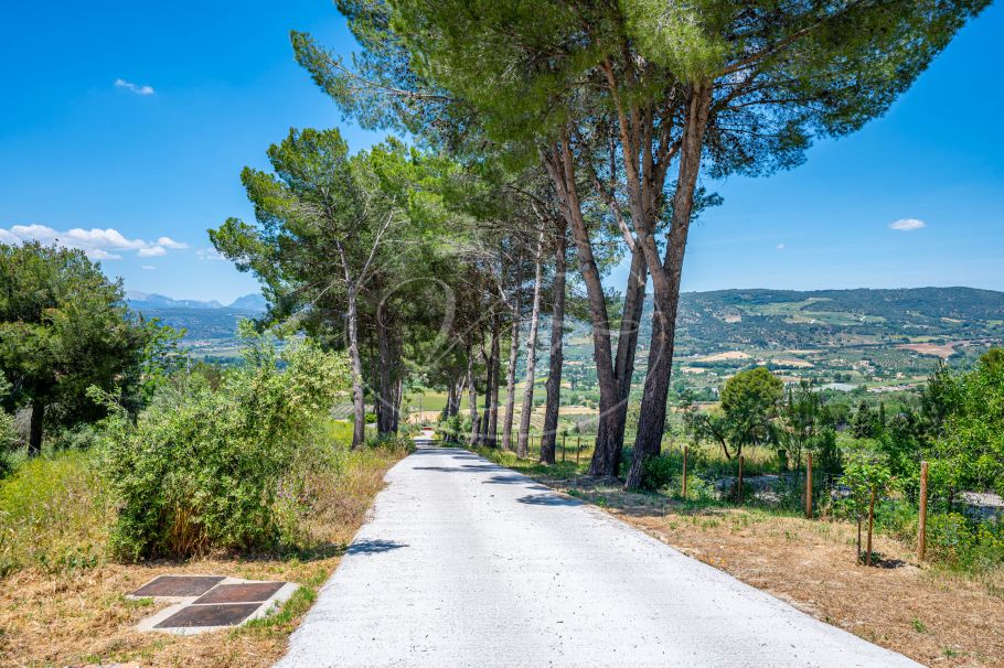 Beautiful country home with Vineyard, 1 studio & 1 guest apartment, Ronda