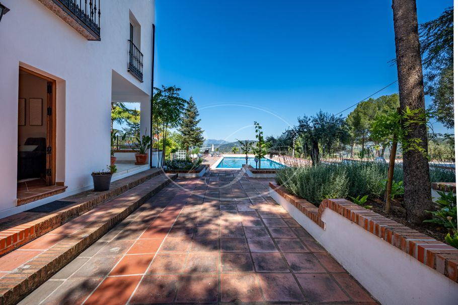 Beautiful country home with Vineyard, 1 studio & 1 guest apartment, Ronda