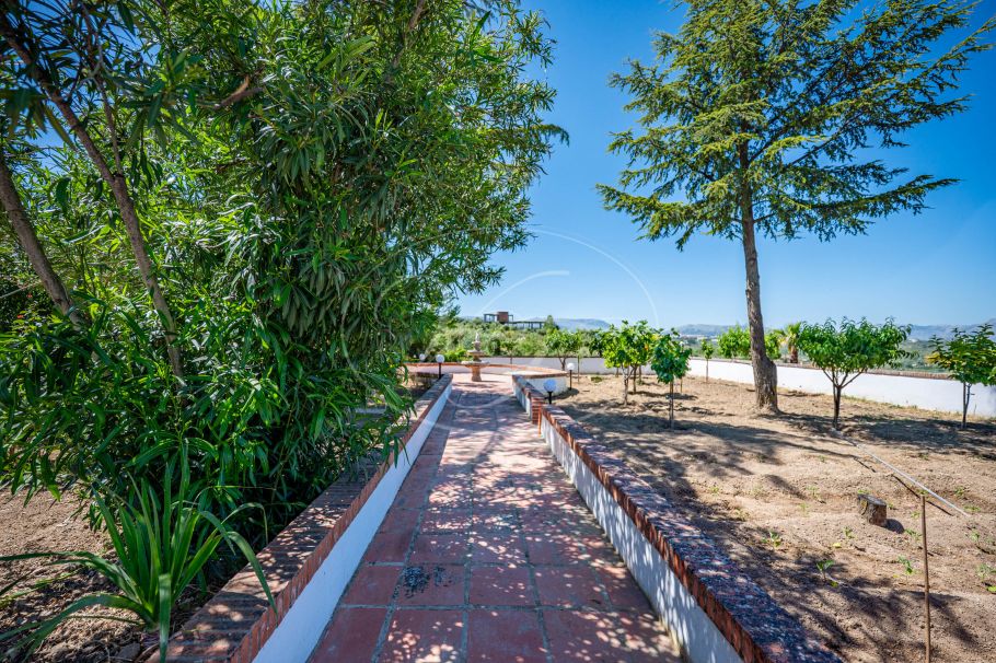 Beautiful country home with Vineyard, 1 studio & 1 guest apartment, Ronda