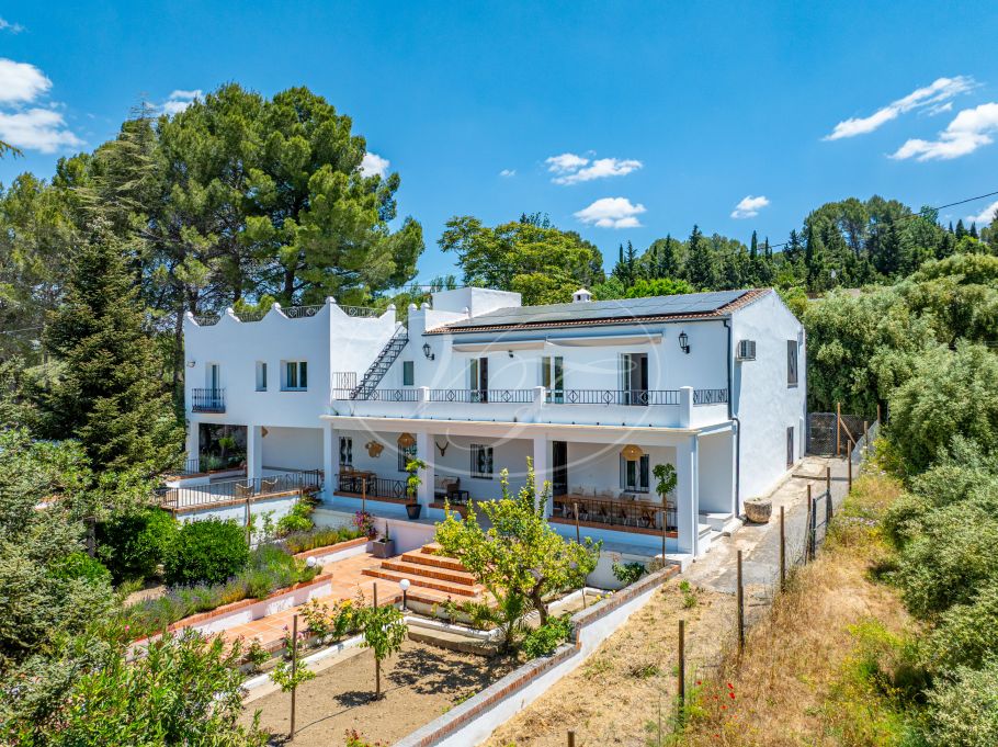 Beautiful country home with Vineyard, 1 studio & 1 guest apartment, Ronda