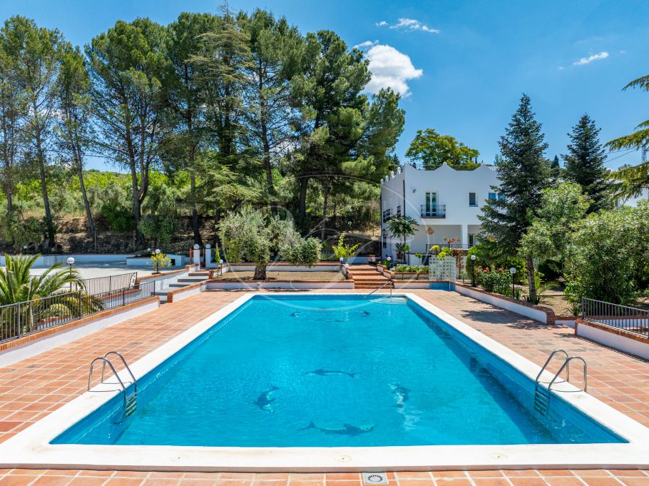 Beautiful country home with Vineyard, 1 studio & 1 guest apartment, Ronda