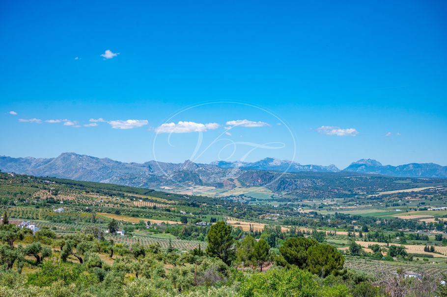 Beautiful country home with Vineyard, 1 studio & 1 guest apartment, Ronda