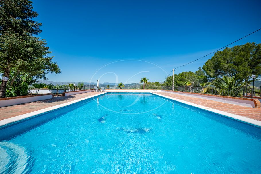 Beautiful country home with Vineyard, 1 studio & 1 guest apartment, Ronda