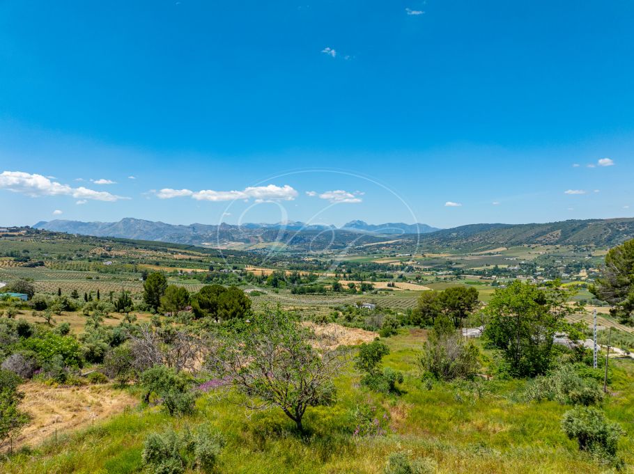 Beautiful country home with Vineyard, 1 studio & 1 guest apartment, Ronda