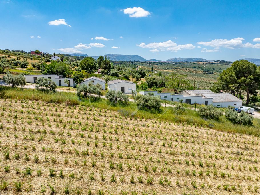 Beautiful country home with Vineyard, 1 studio & 1 guest apartment, Ronda