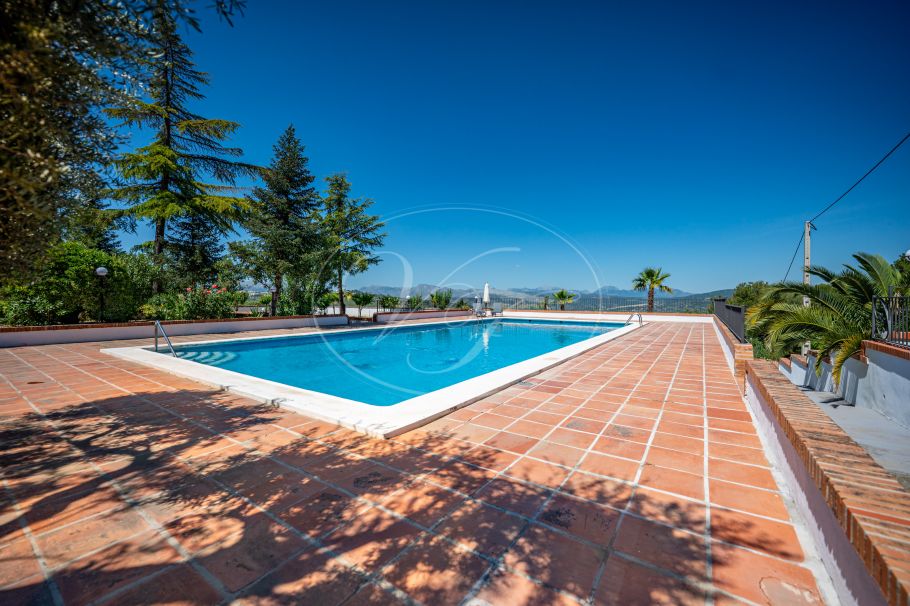 Beautiful country home with Vineyard, 1 studio & 1 guest apartment, Ronda