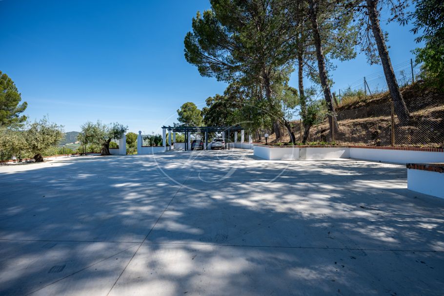 Beautiful country home with Vineyard, 1 studio & 1 guest apartment, Ronda