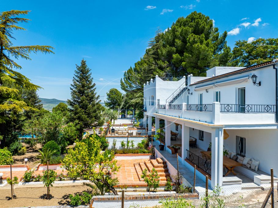 Beautiful country home with Vineyard, 1 studio & 1 guest apartment, Ronda