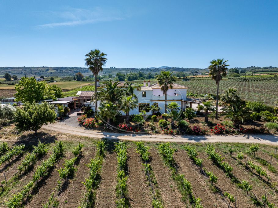 Hermosa casa de campo andaluza con viñedo y bodega, Ronda