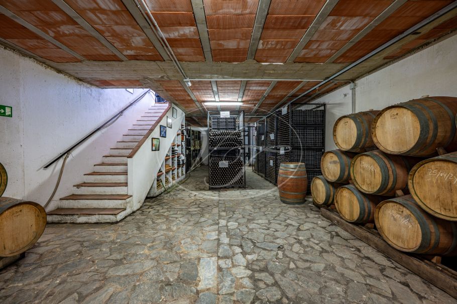 Hermosa casa de campo andaluza con viñedo y bodega, Ronda